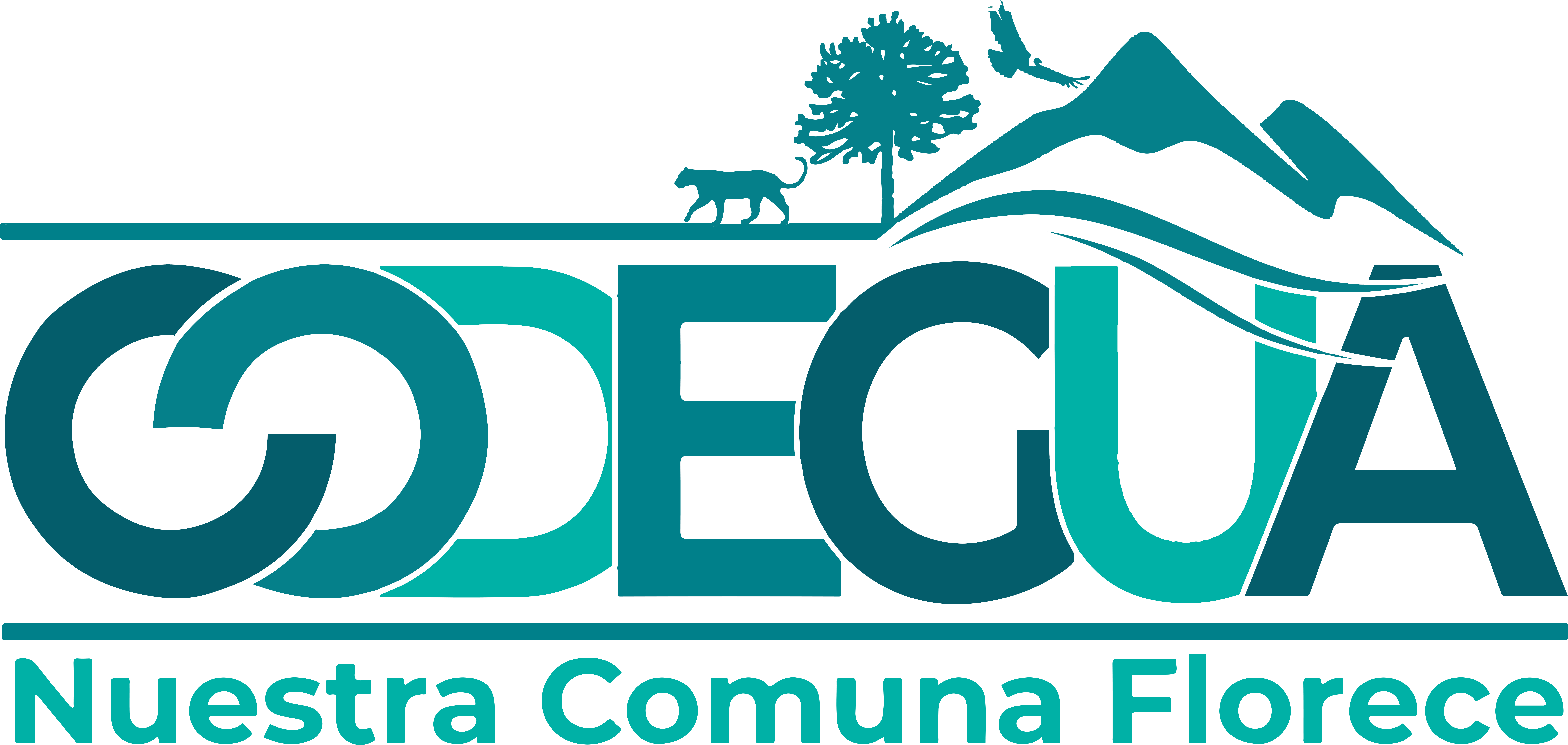 Municipalidad de Codegua
